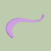 コノリ