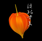 亞鳥