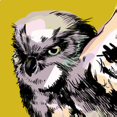 ゆう