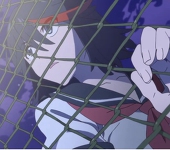玳瑁Bekko
