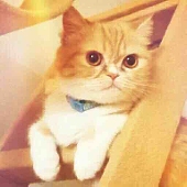 にゃます