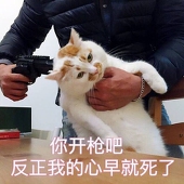 アホ毛団長