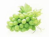 七月