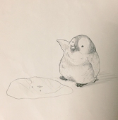 塩バターポップコーン