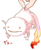 近所の神崎