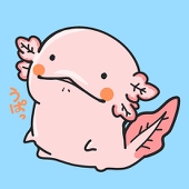 文月ヅキ