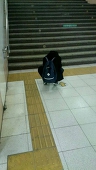 たきしょたま