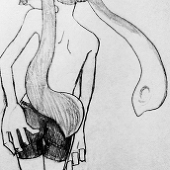 しば