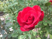 💐