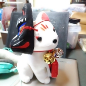 せりうむ