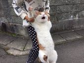 なべ