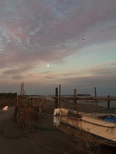 ballwiththewind