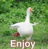 Chill_LE