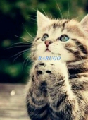 BARUGO♍