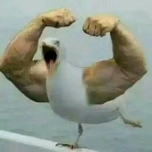 uu