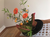 akina_meo_s