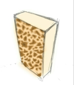 Grilled tofu