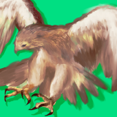 hokagen