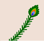 美月