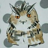 かいと