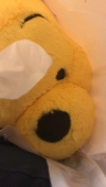 茶,,* chi
