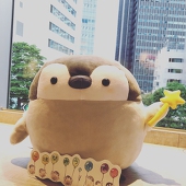 ちょうちょ