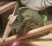 おいしお(プロフ一読願います