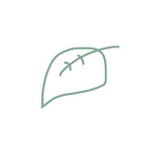葉っぱ