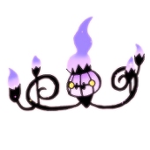 ぽんこ