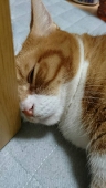 橋@AWS