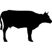 牛肉パック