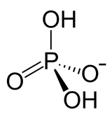 リン酸