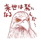 kojiou