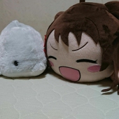にちまゆ