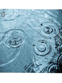 雨木 雫