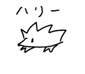 きり