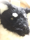 つっぱり