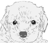 フォローしないポテコアカウント