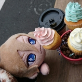 ひのき