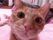 みなと