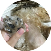 ルトキ