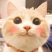 Suri