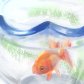 ぽるか