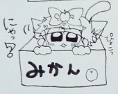 ☆かな☆