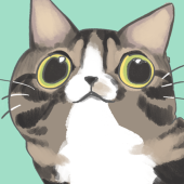 BB