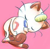 しぇるぴ