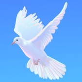 空与海之诗