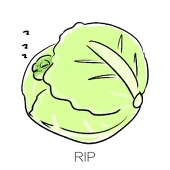 矢口子