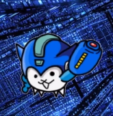 3000