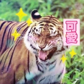 faunPan